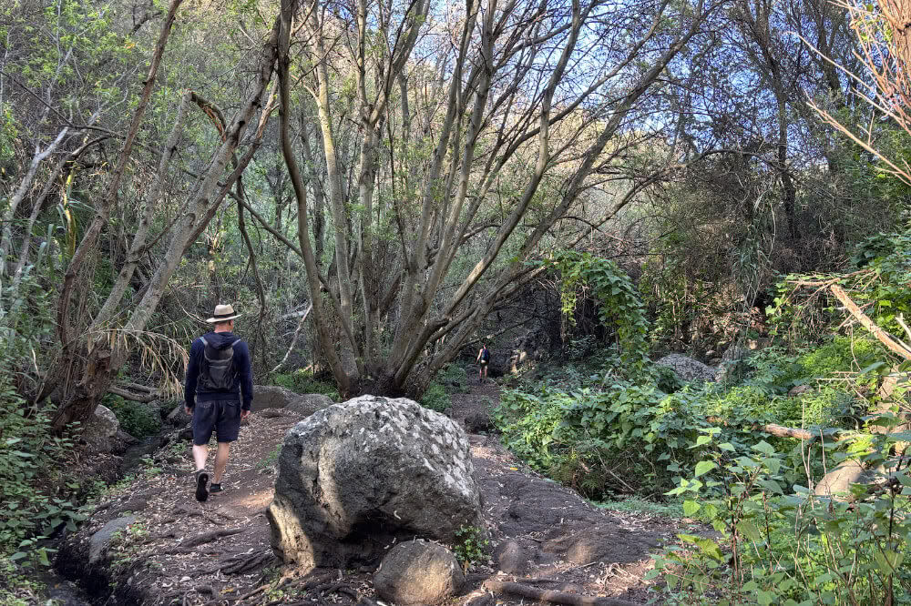 Paddleboarding (SUP) and Yoga Retreat in Gran Canaria