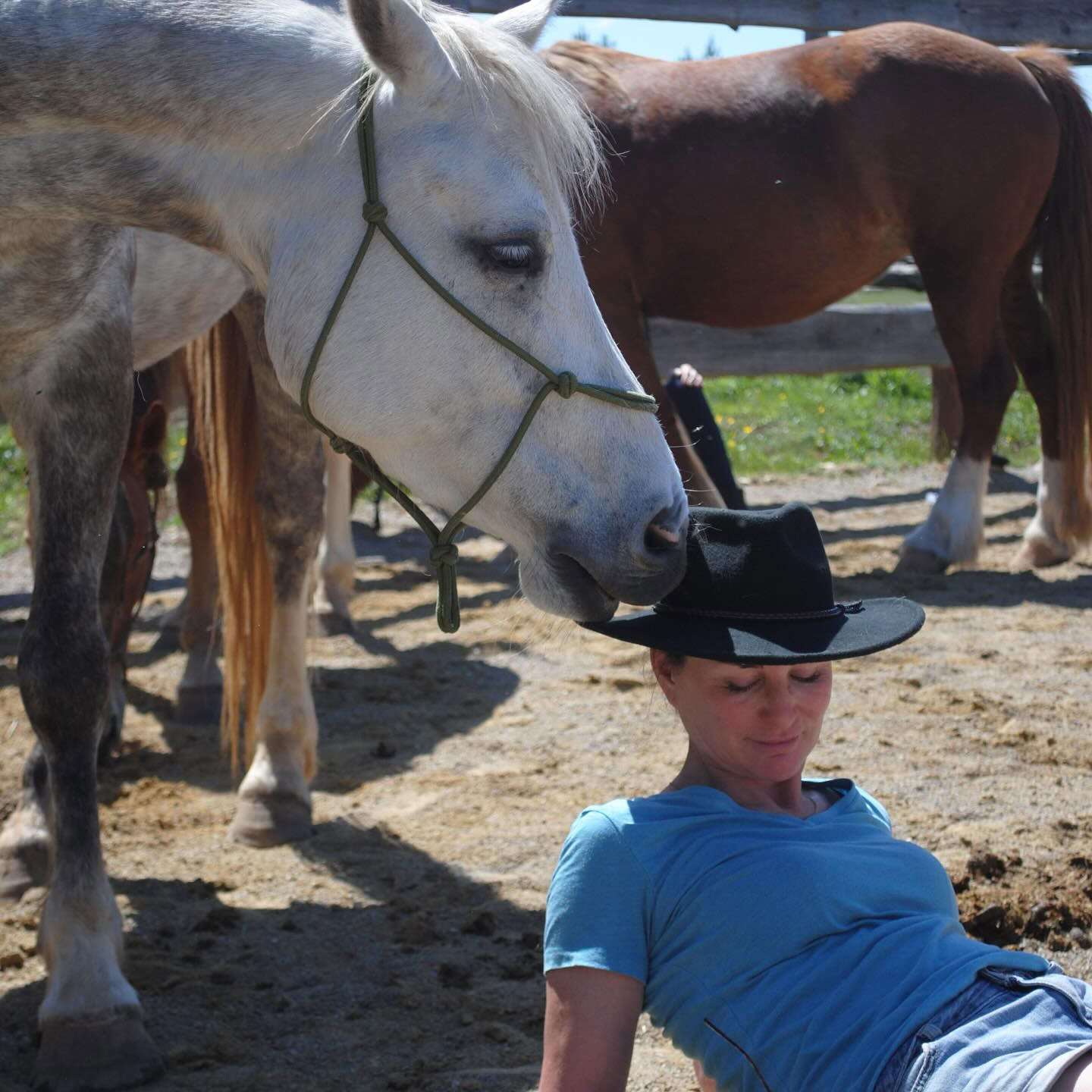 Healing on Horseback – 19th - 23rd October