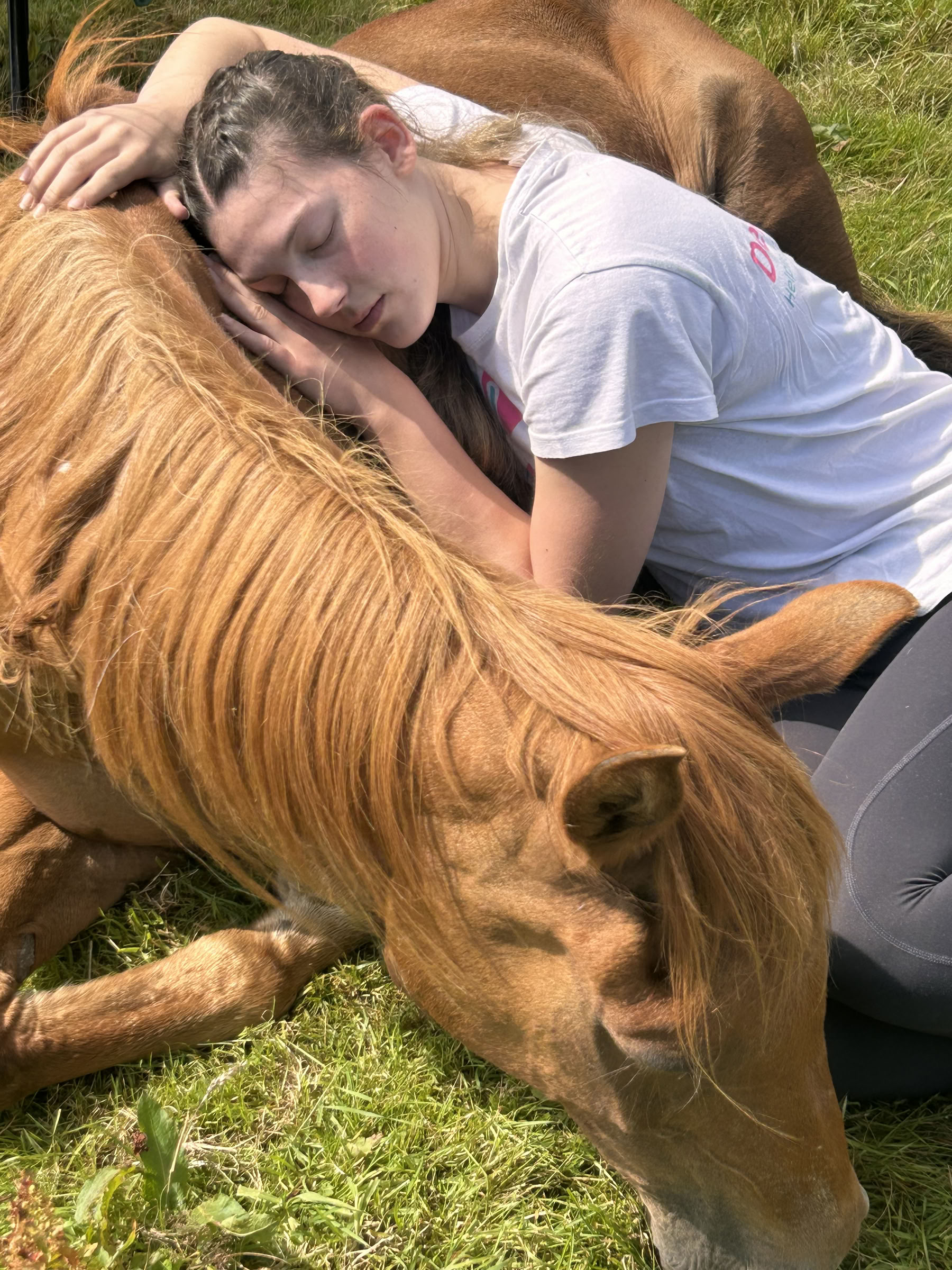 Silent Healing With Horses – Sep 27 - Oct 2