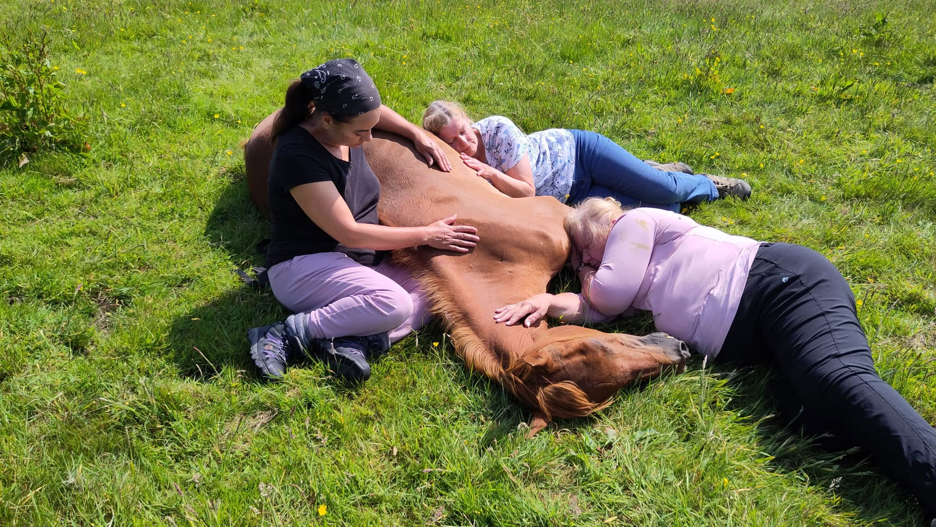 Silent Healing With Horses – Sep 27 - Oct 2