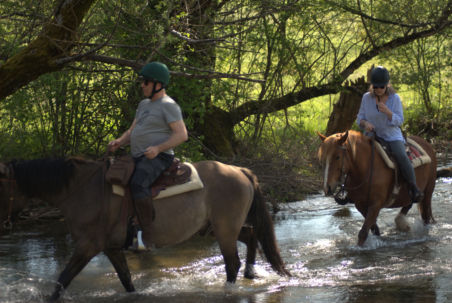 Healing on Horseback | Bosnia 18th - 23rd October