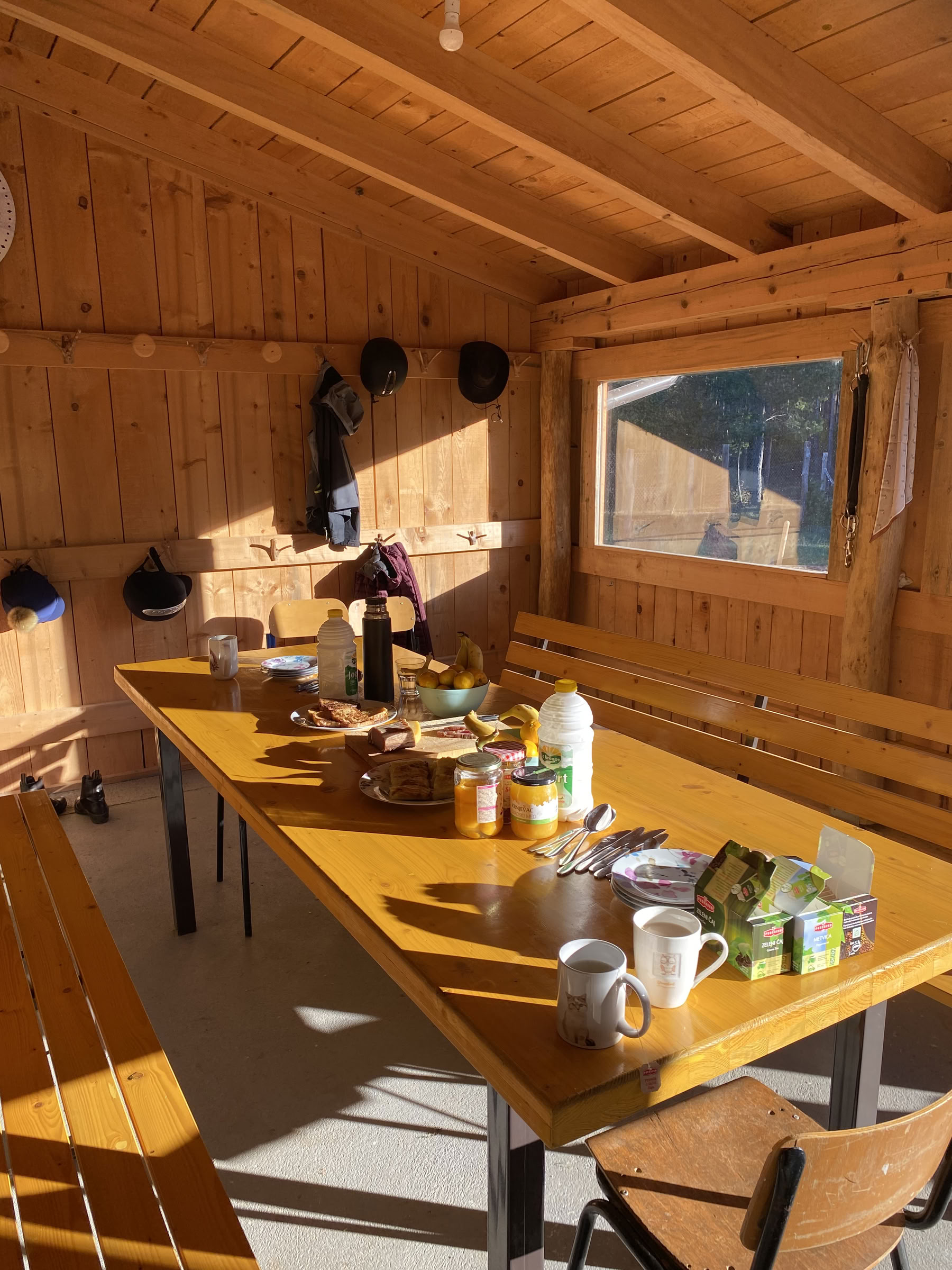 Healing on Horseback | Bosnia 18th - 23rd October