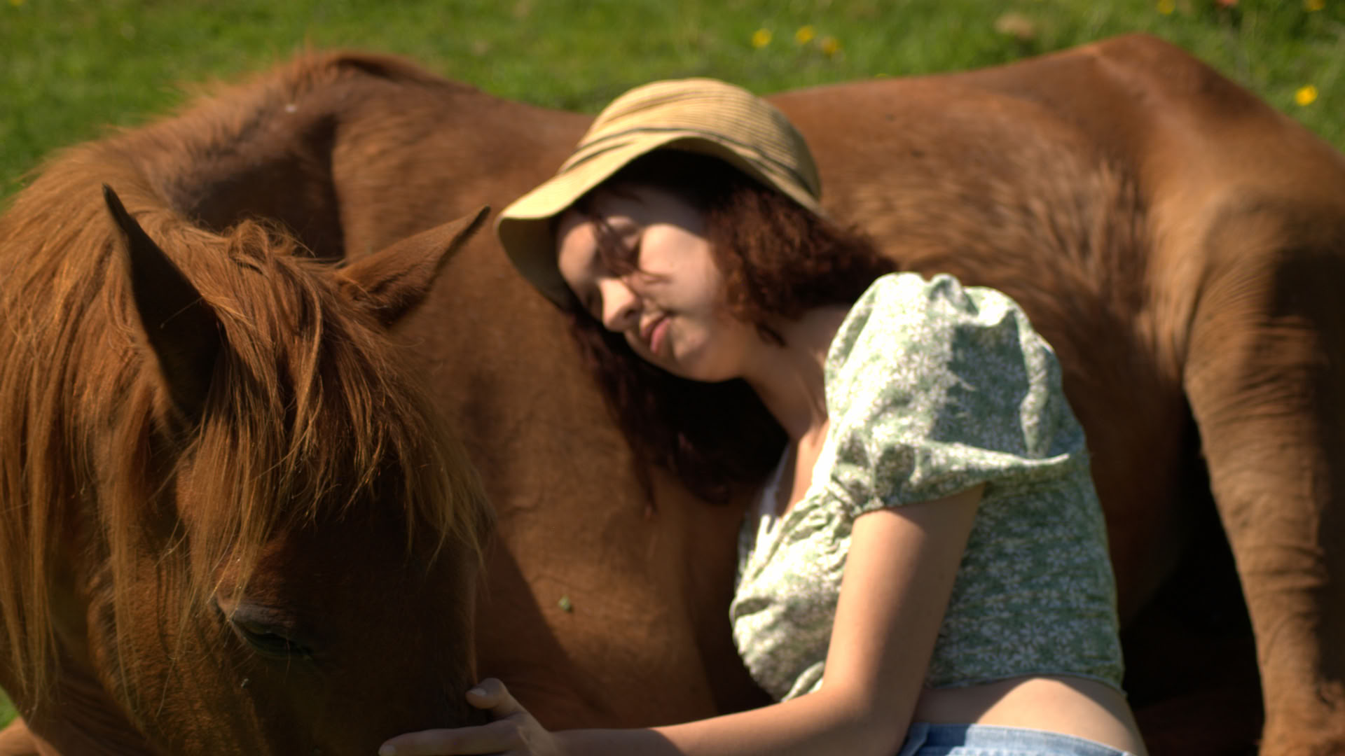 Healing on Horseback | Bosnia 18th - 23rd October