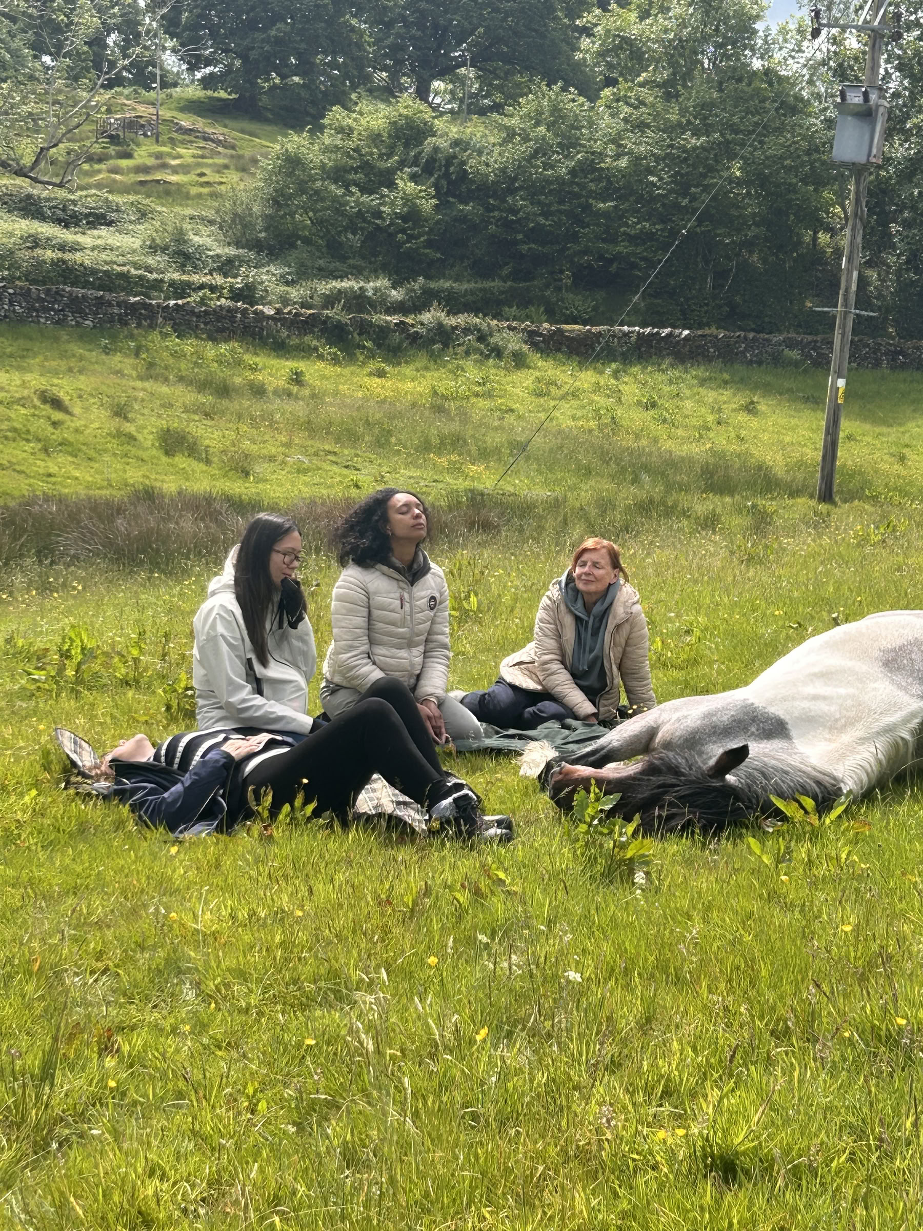 The Wild Woman, Cumbria, 18/06/2026 to 21/06/2026