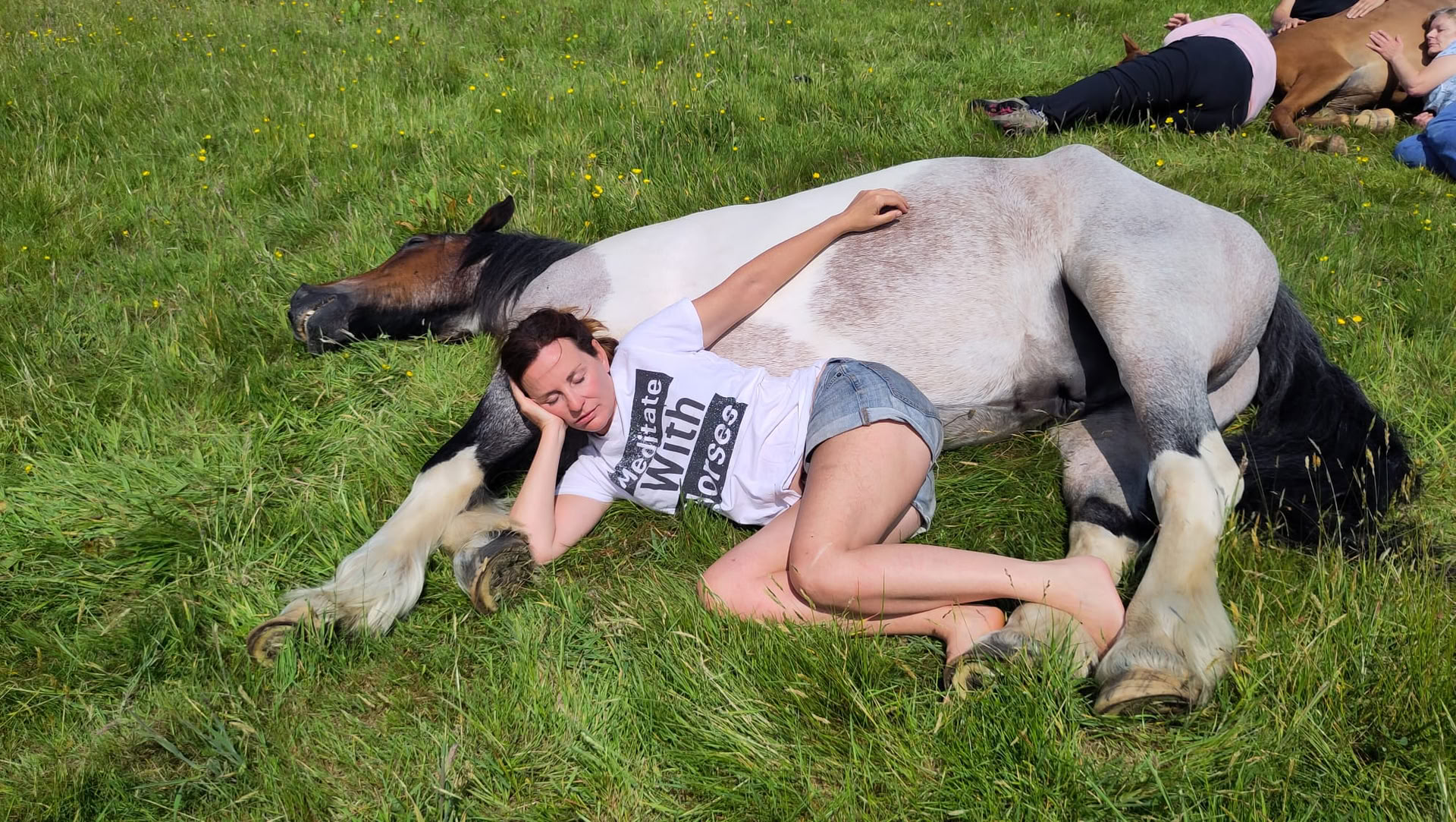 Silent Healing With Horses 18/10/2026 - 23/10/2026