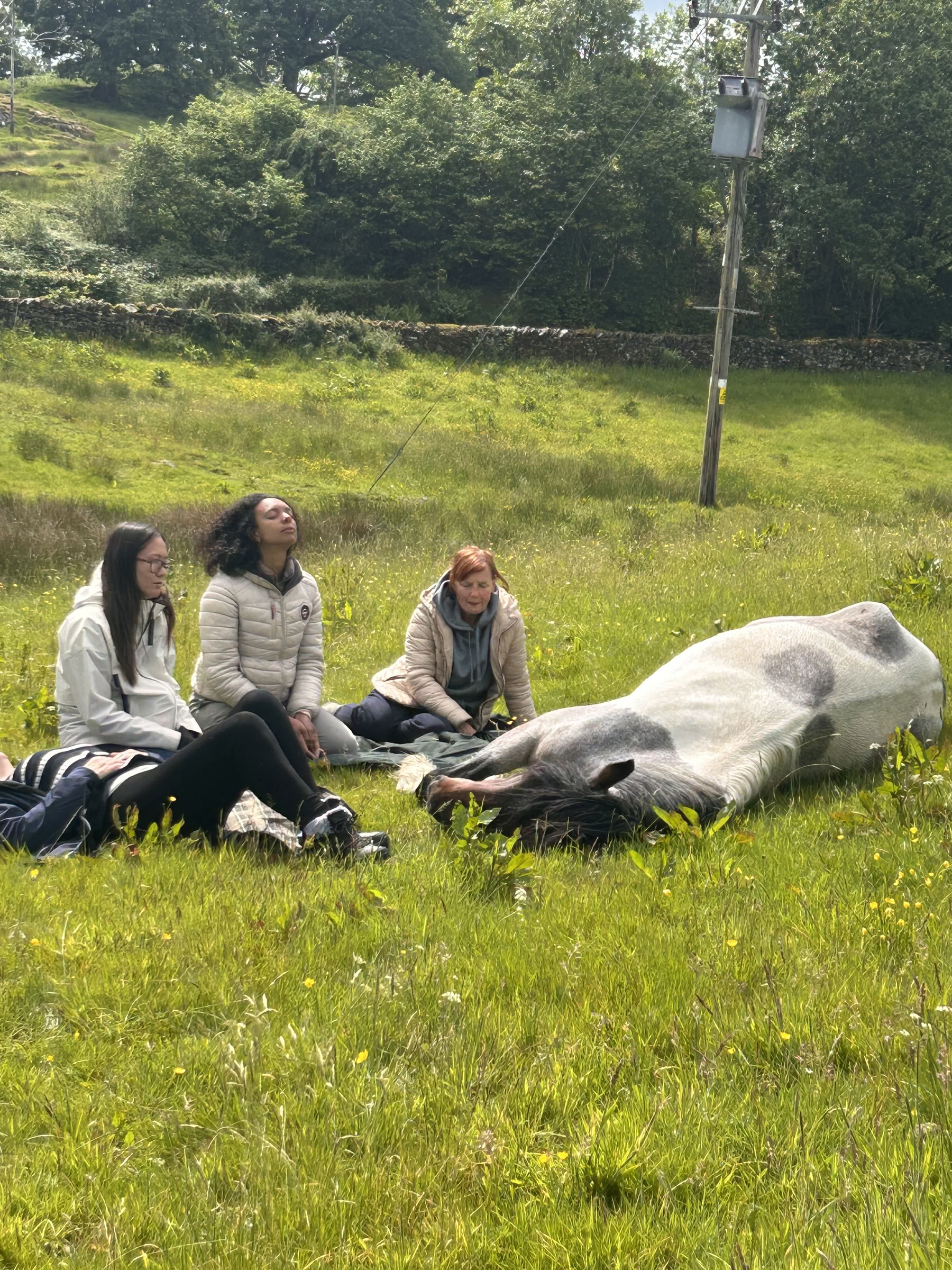 Silent Healing With Horses 23/11/2026 -30/11/2026