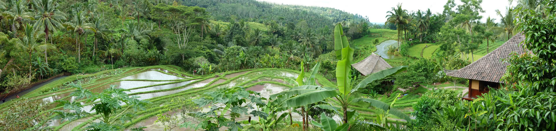 Once-off Bali Offering