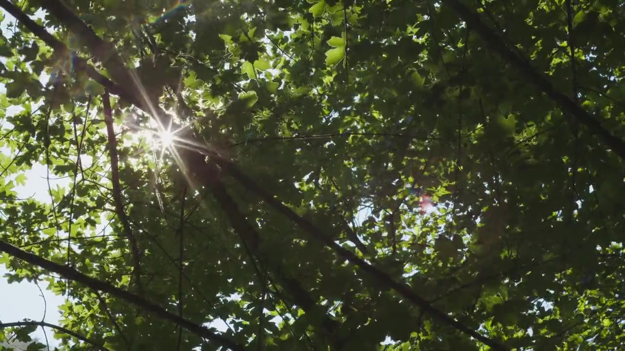 Breathe and Begin