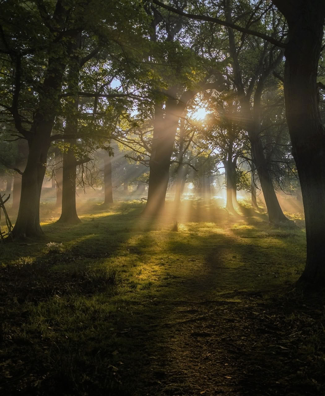 Breathe and Begin