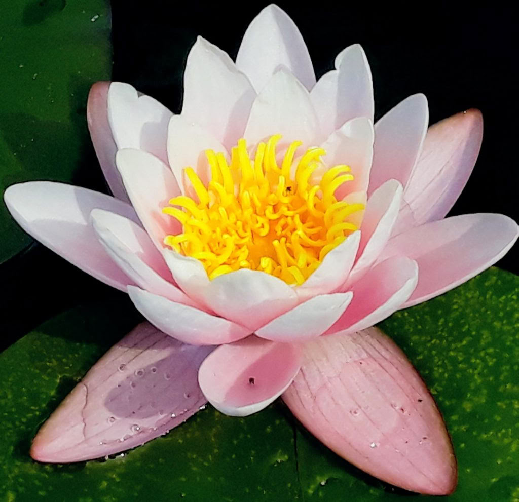 Meditation mit Leichtigkeit – Ein Achtsamkeits-Schweigeretreat