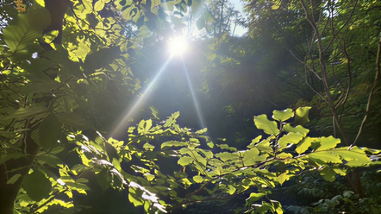 Achtsamkeit und Metta – Ein Yoga Wochenende