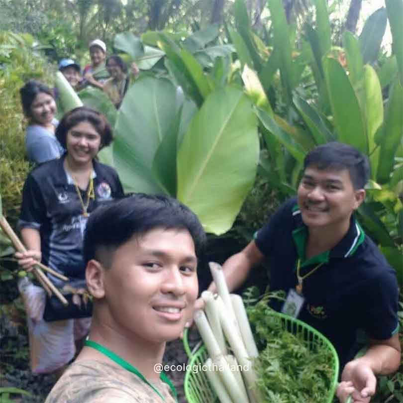 Food Forest Project & Karma Yoga