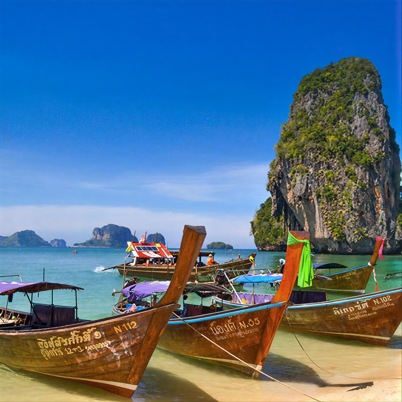 From the Jungle to the Sea vacation package