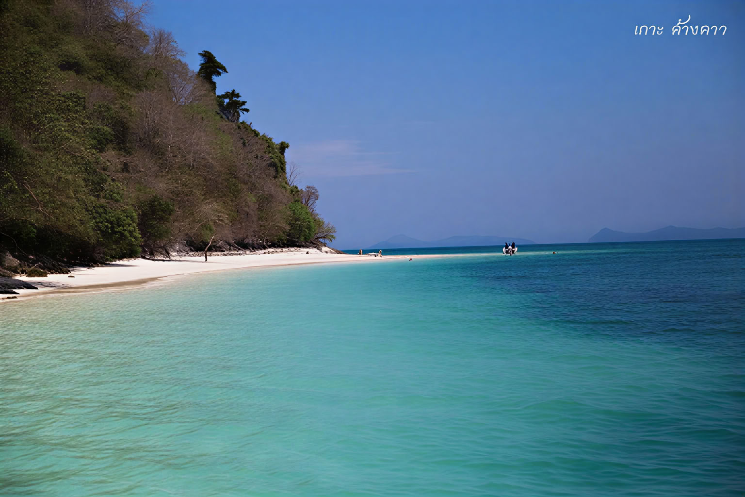 From the Jungle to the Sea vacation package