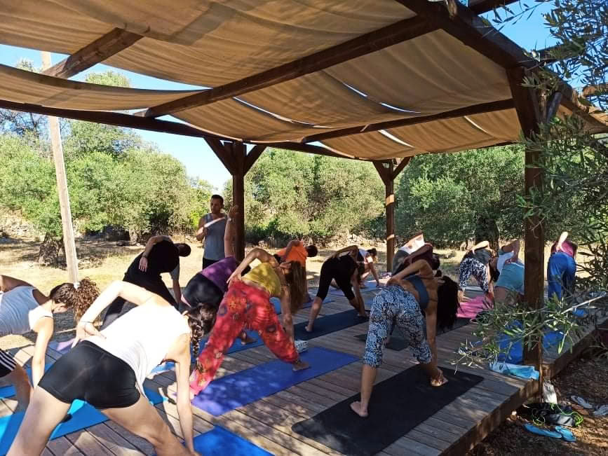 Men's Wellness Retreat