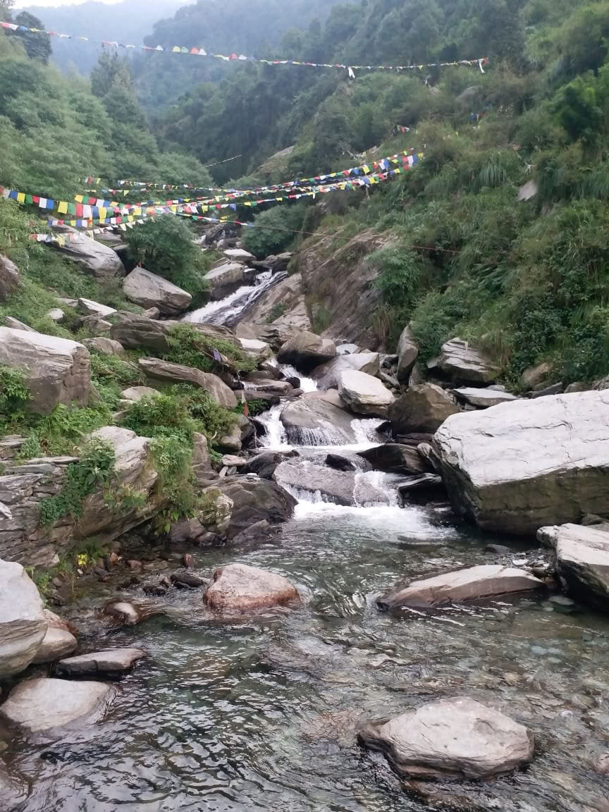 200 Hour Yoga Teacher Training In Dharamsala