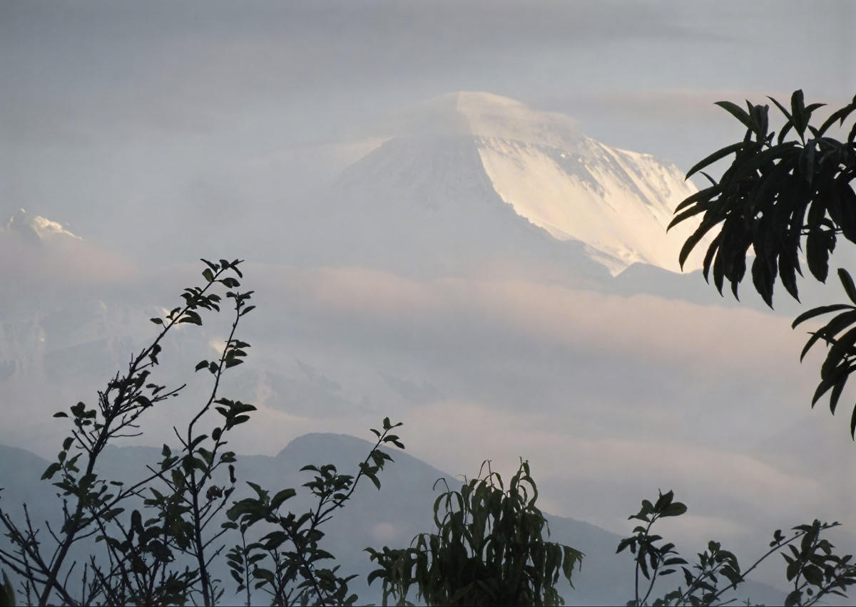 Yoga Retreat Nepal