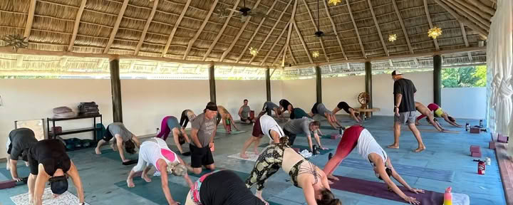 Margaritas and Chaturangas – A Mexican Yoga Adventure