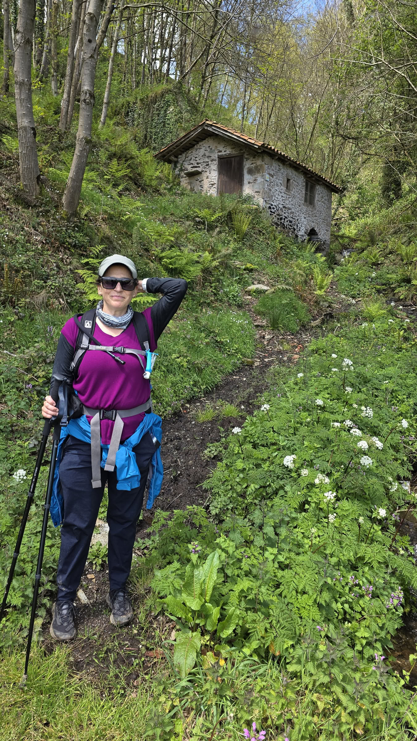 El Camino Total Eclipse: Hike, Bike, and Horseback