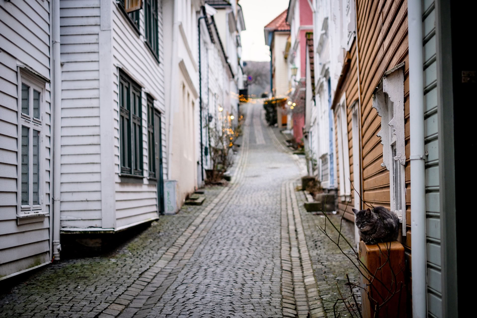 Norway Yoga & Backpacking