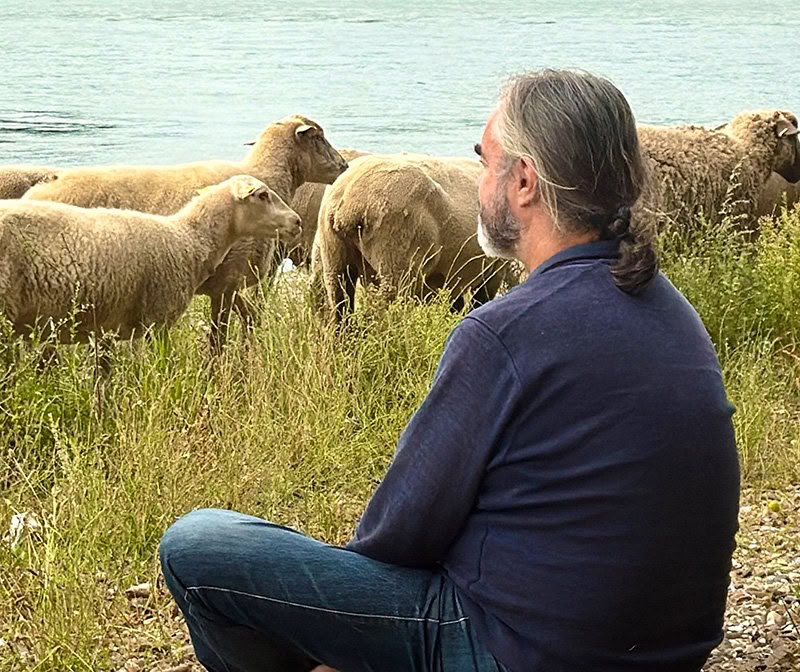 Mindfulness Days