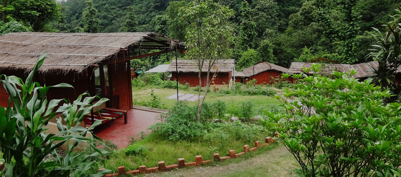 100 Hour Yoga Teacher Training In Rishikesh