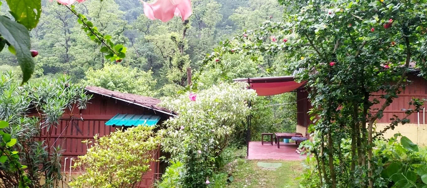 100 Hour Yoga Teacher Training In Rishikesh