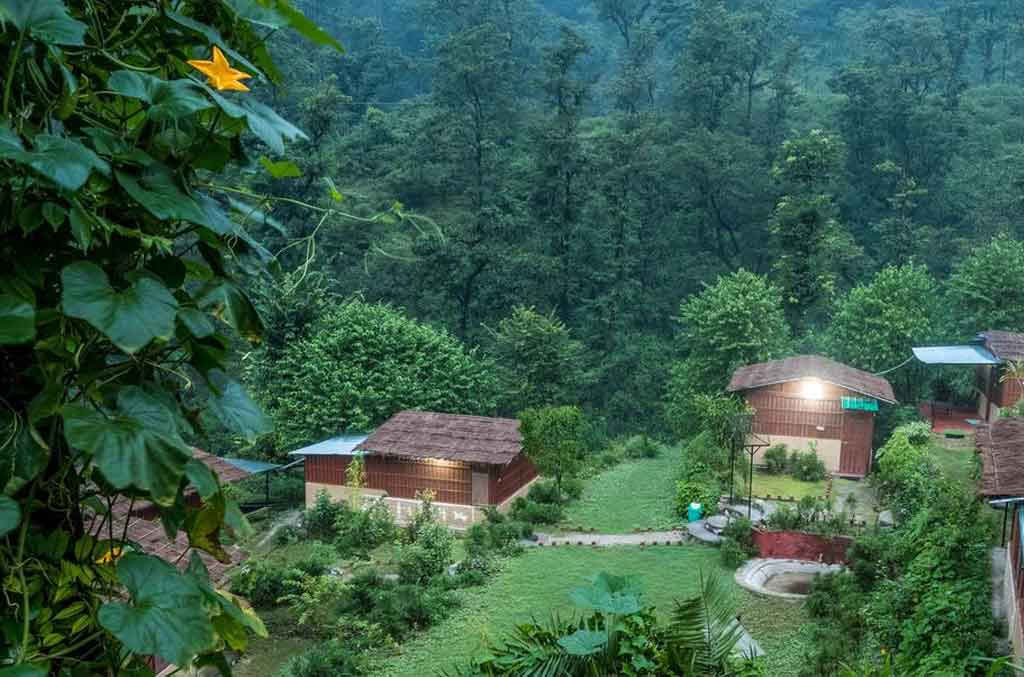 100 Hour Yoga Teacher Training In Rishikesh