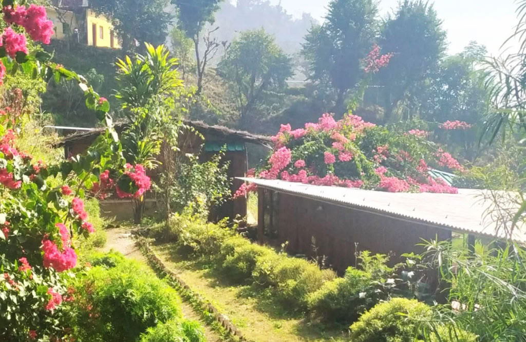 100 Hour Yoga Teacher Training In Rishikesh
