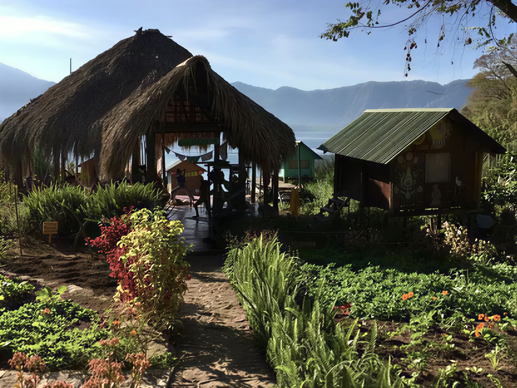 Cacao Source Training Program