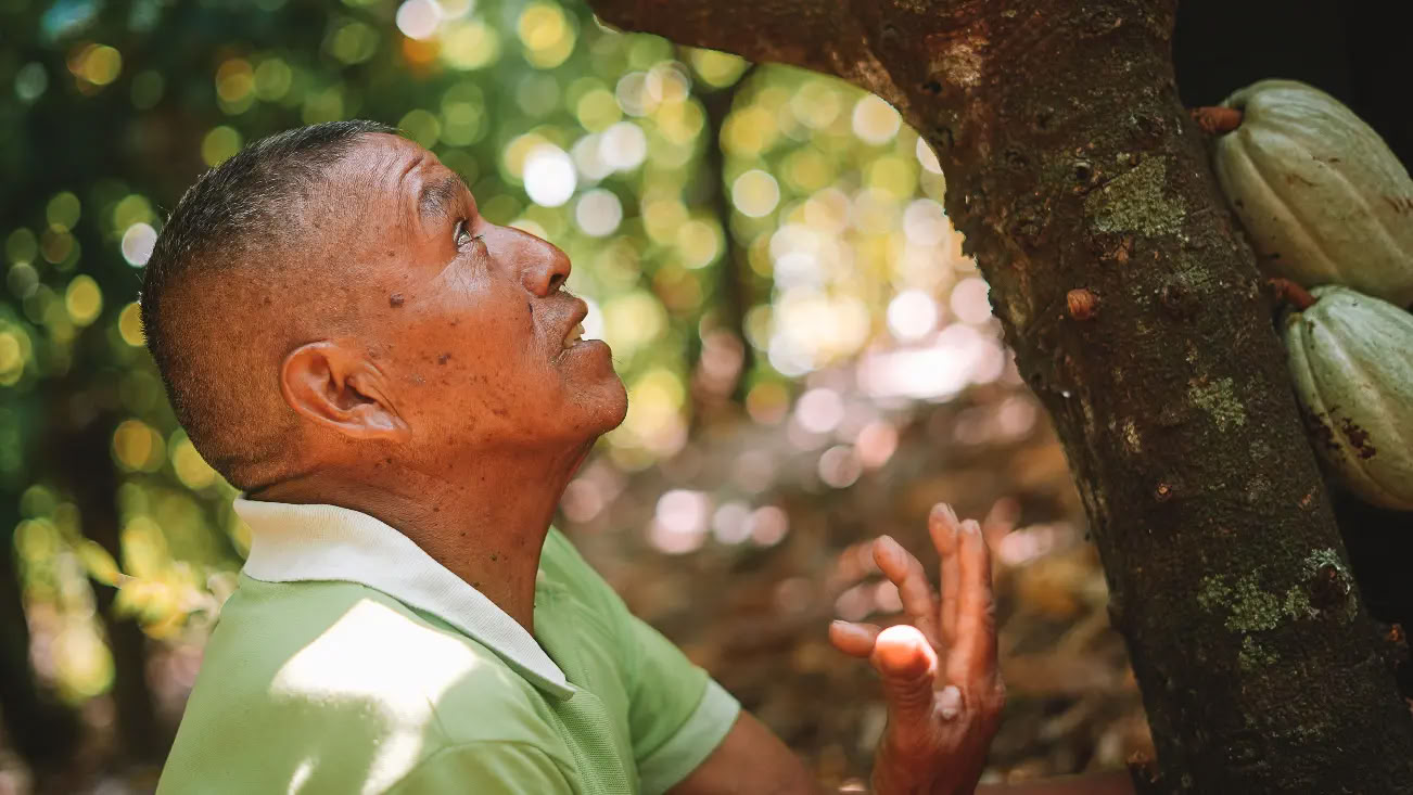 Cacao Source Training Program