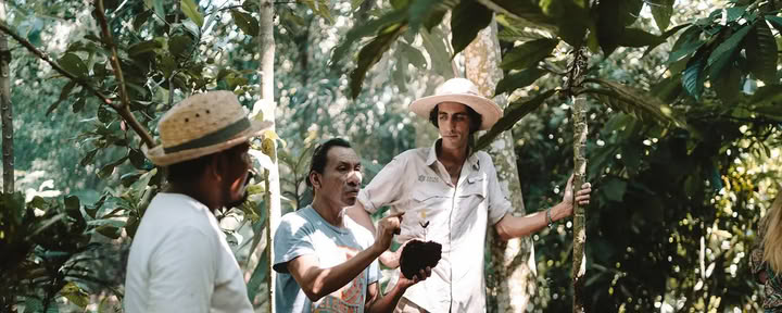 Cacao Source Training Program