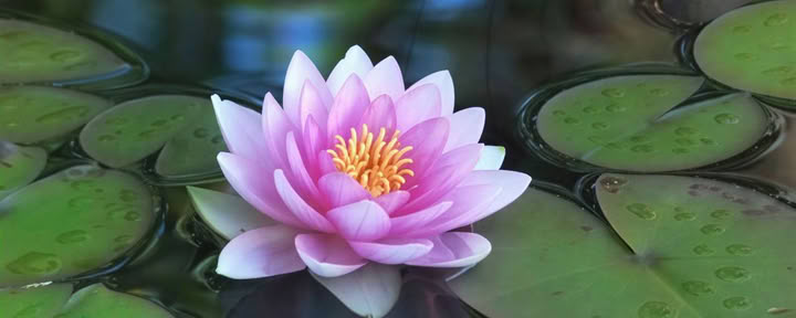 9 Day Silent retreat