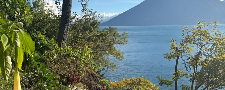 7-Day Wellness Retreat