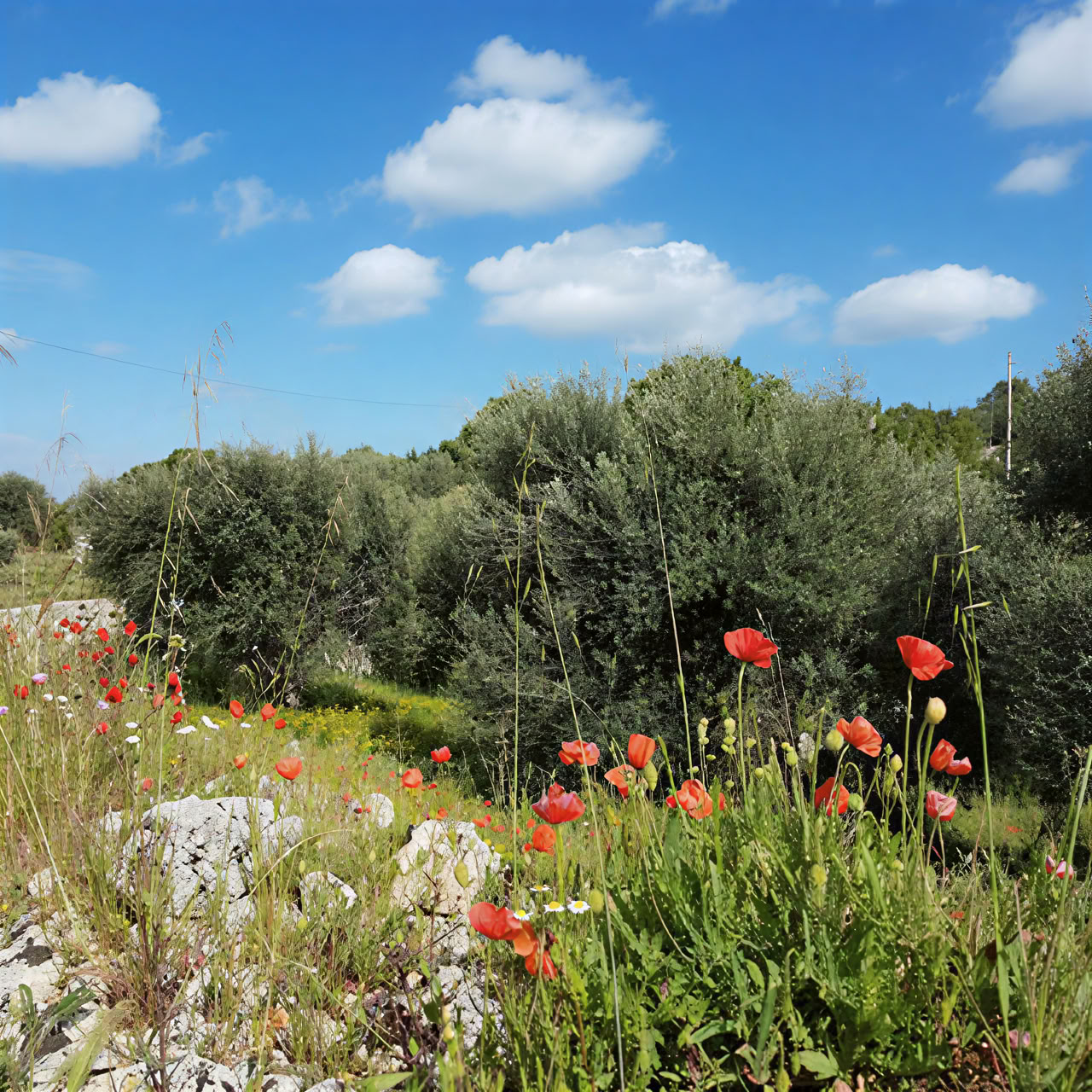 Yoga and Somatic Movement Retreat