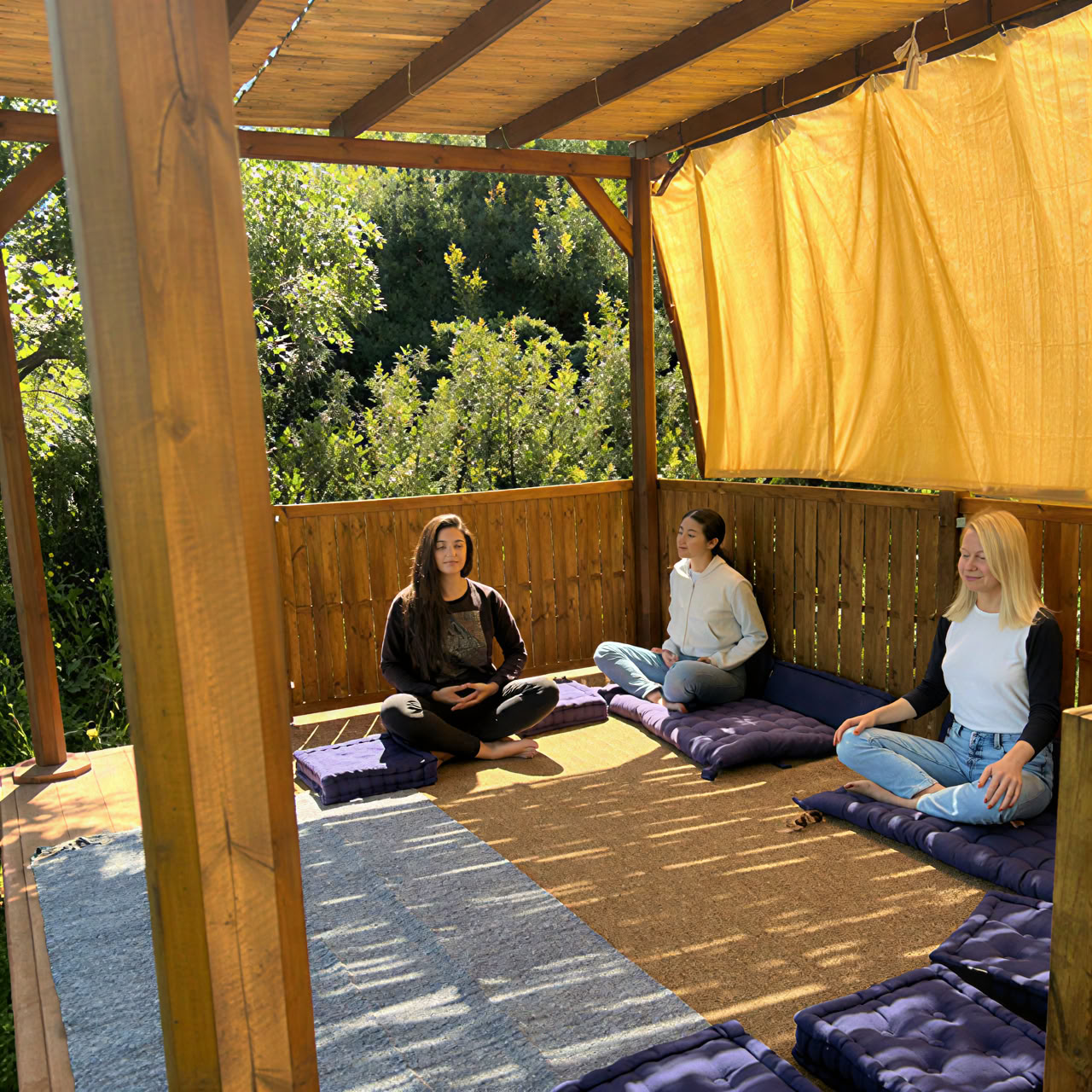 Yoga and Olive Harvest Retreat
