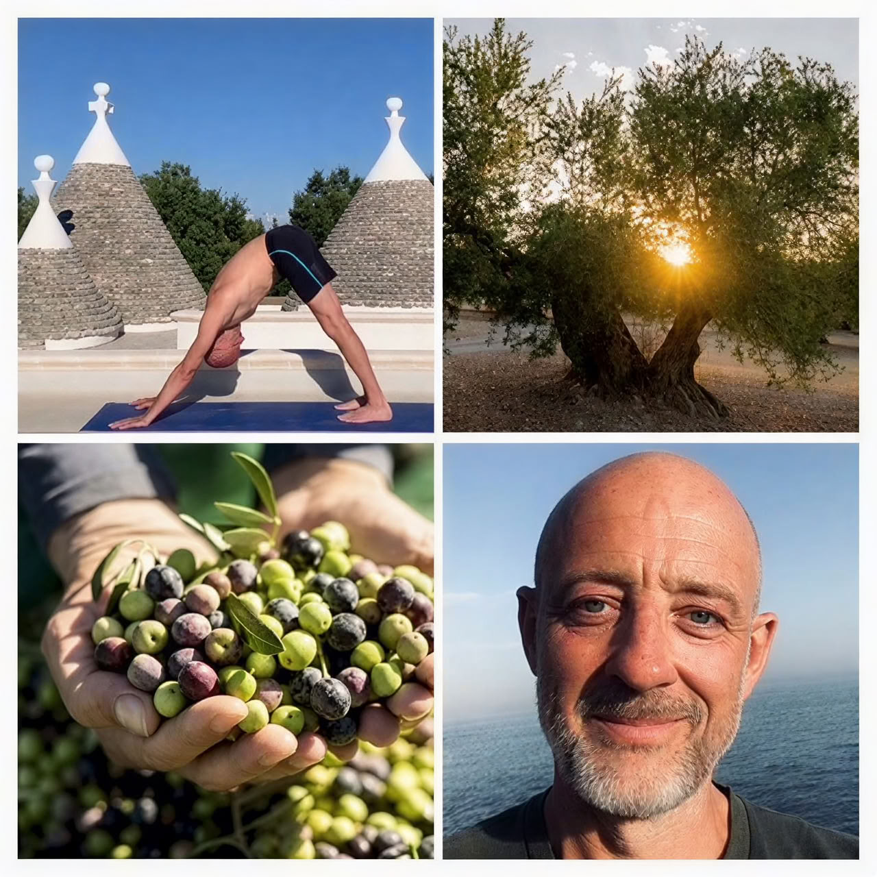 Yoga and Olive Harvest Retreat