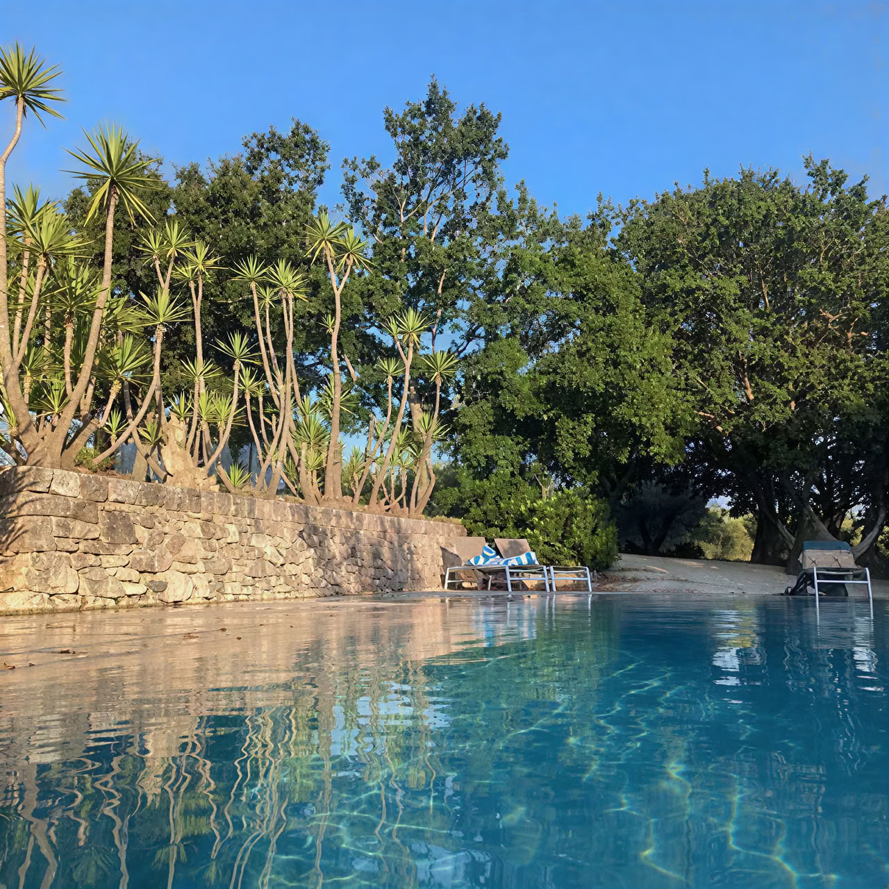 Yoga and Somatic Movement Retreat in Puglia — The Space