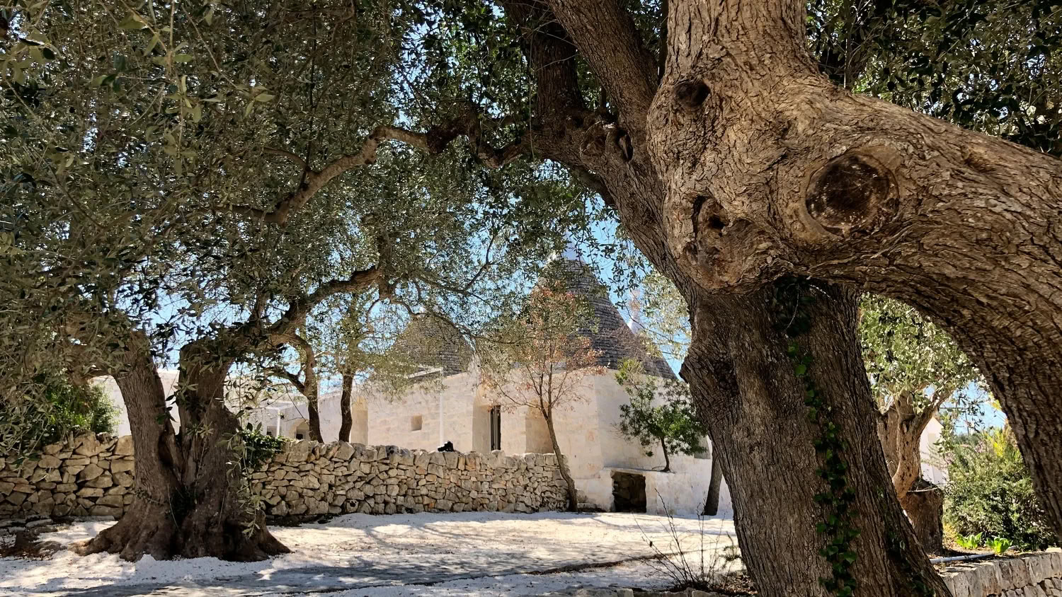 Yoga and Somatic Movement Retreat in Puglia — The Space