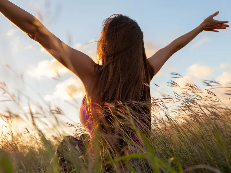 Seeds of Abundance