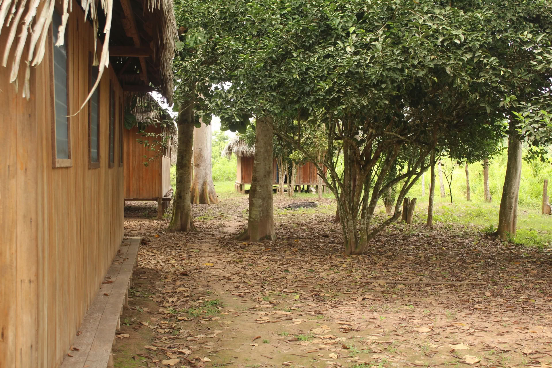 1-Week Retreat