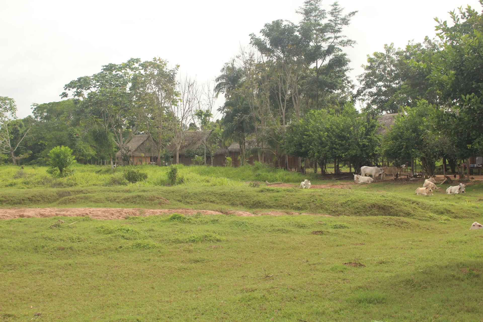 1-Week Retreat