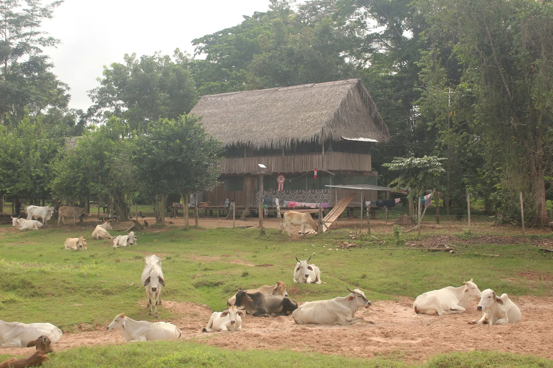 2-Week Retreat