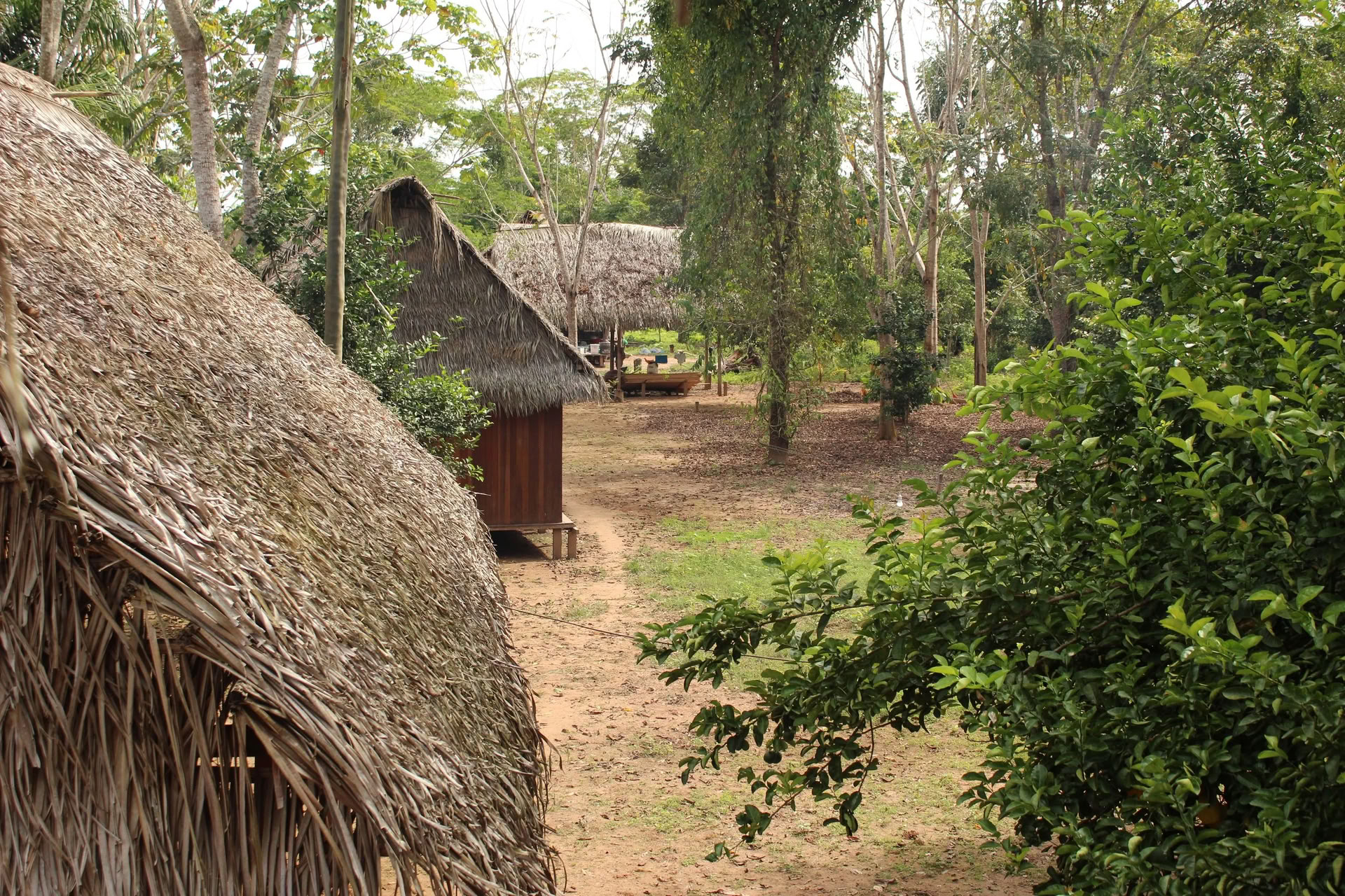2-Week Retreat