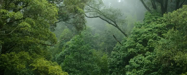 2-Week Retreat