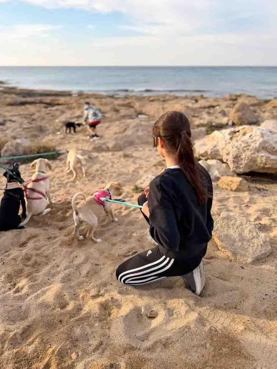 Puppy Beach Walk