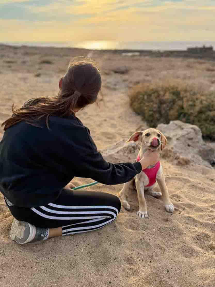 Puppy Beach Walk