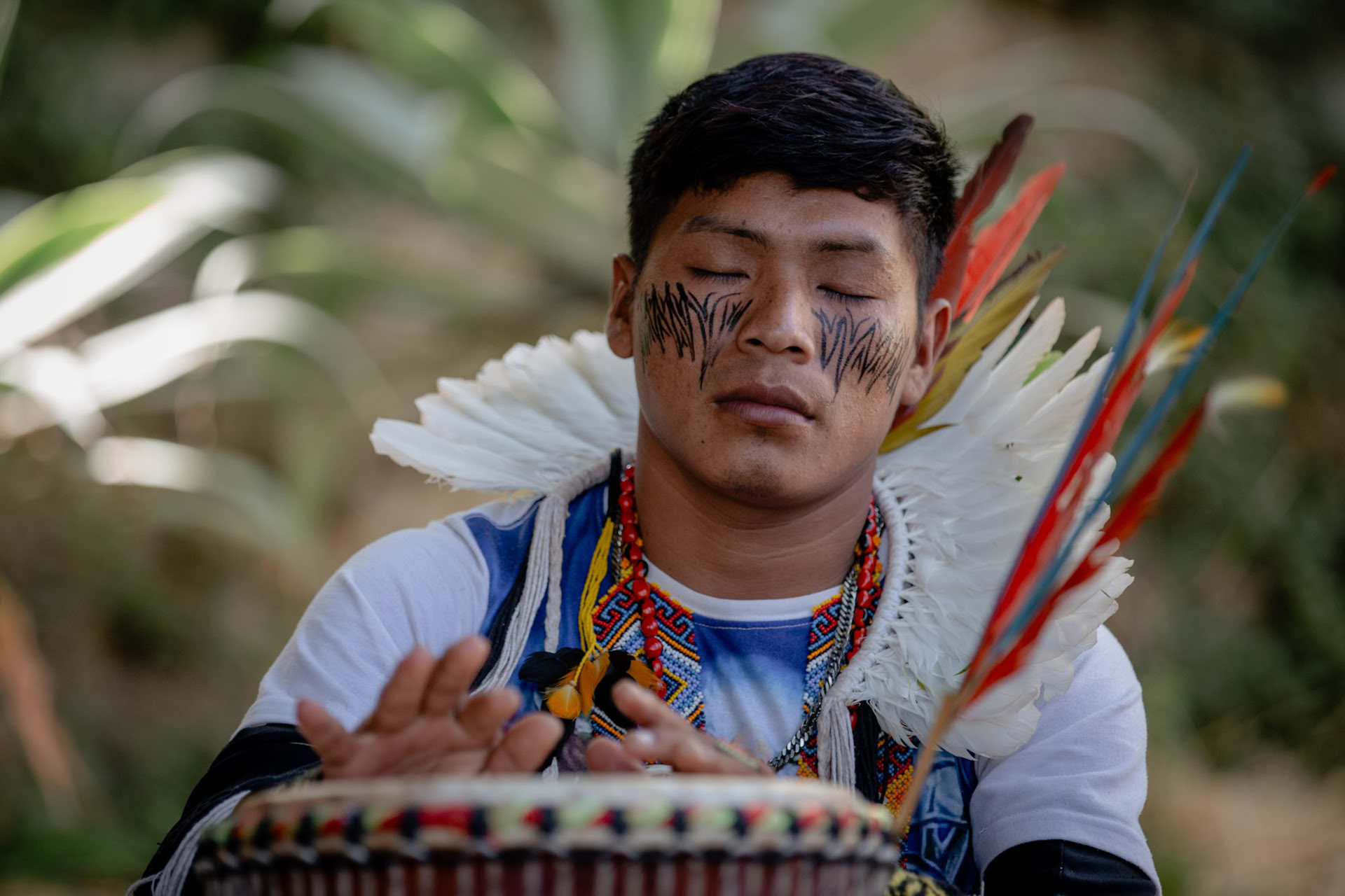 Ayahuasca Ceremonies
