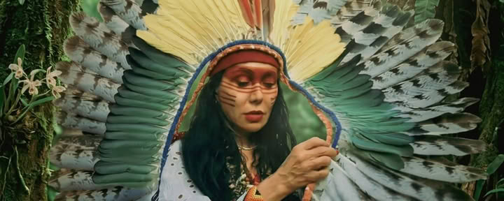Ayahuasca Ceremonies