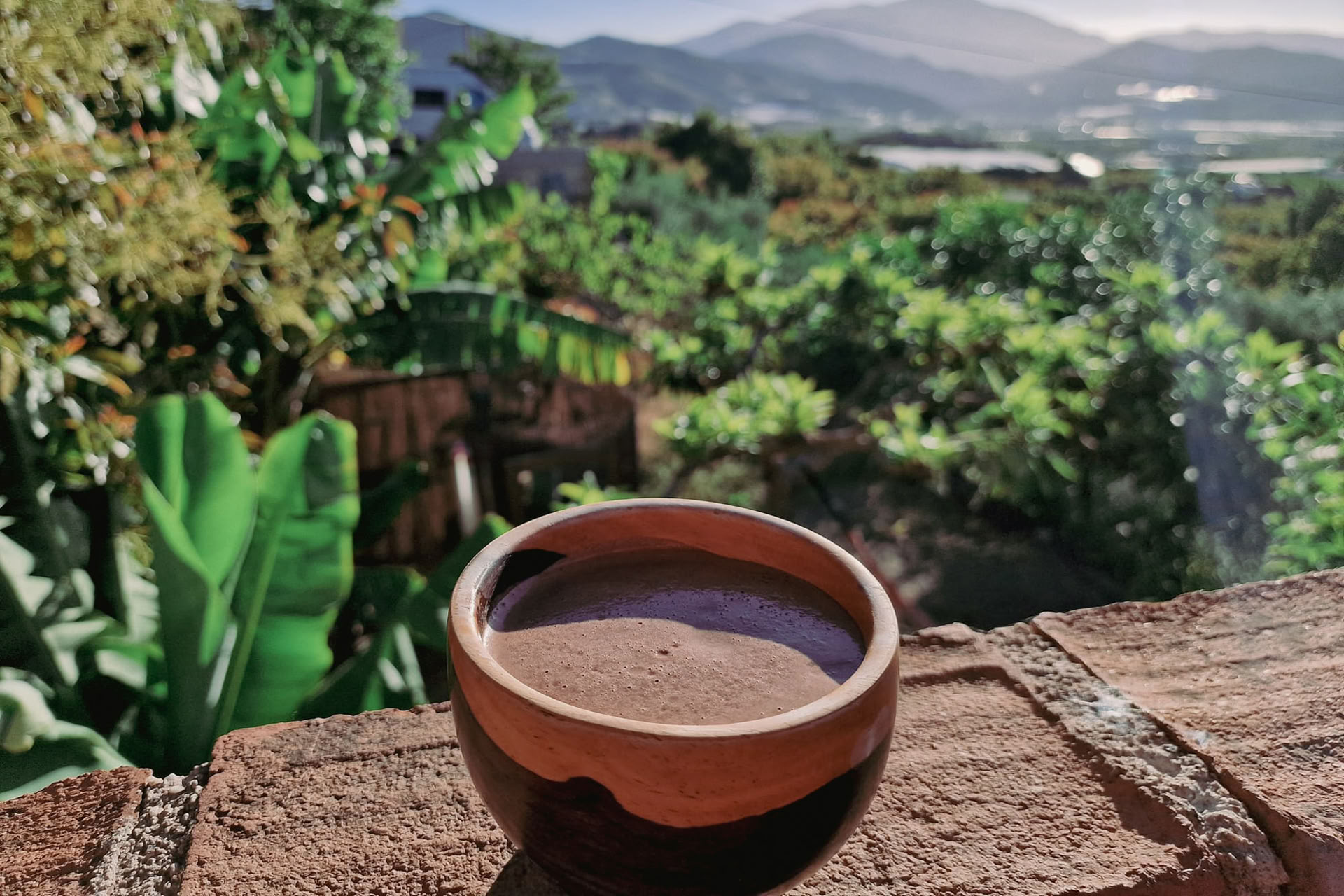 Cacao Ceremonies